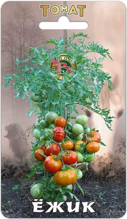 Фото – Томат Ёжик