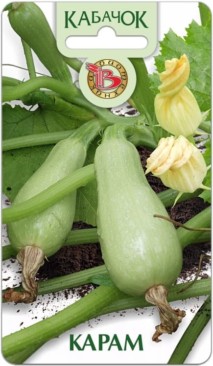 Фото – Кабачок Карам