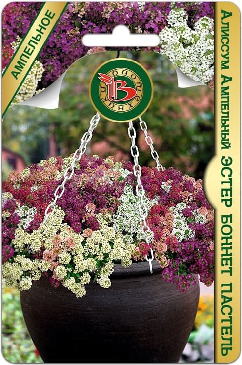 Фото – Алиссум Эстер Боннет Пастель