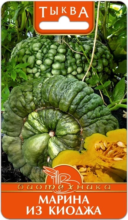 Фото – Тыква Марина из Киоджа