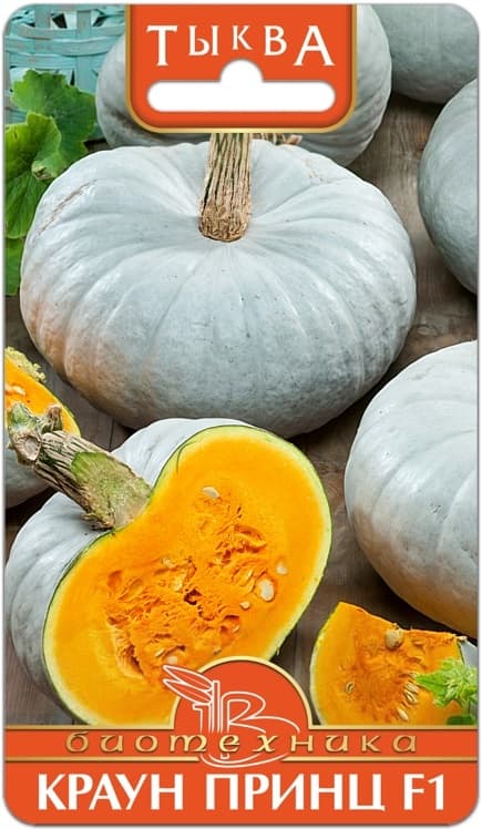 Фото – Тыква Краун Принц F1