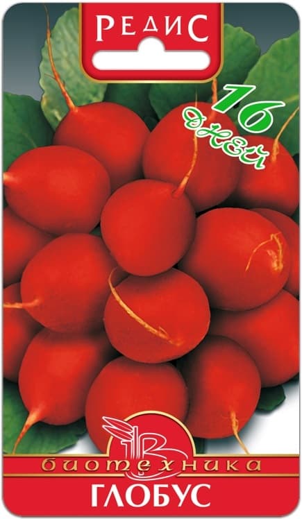 Фото – Редис Глобус