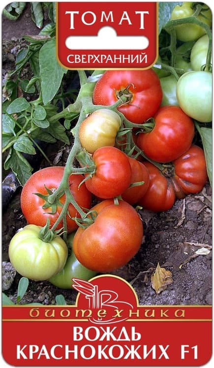 Фото – Томат Вождь Краснокожих F1