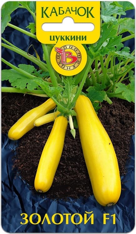 Фото – Кабачок Цуккини Золотой F1