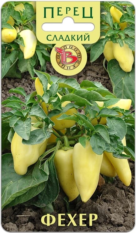 Фото – Перец сладкий Фехер