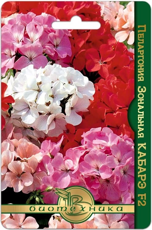 Фото – Пеларгония зональная Кабарэ F2