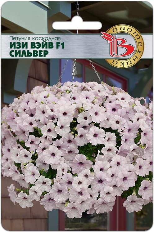 Фото – Петуния каскадная Изи Вэйв F1 Сильвер